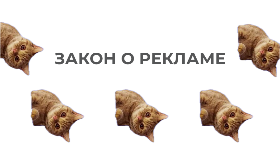 Юридический кото-вестник