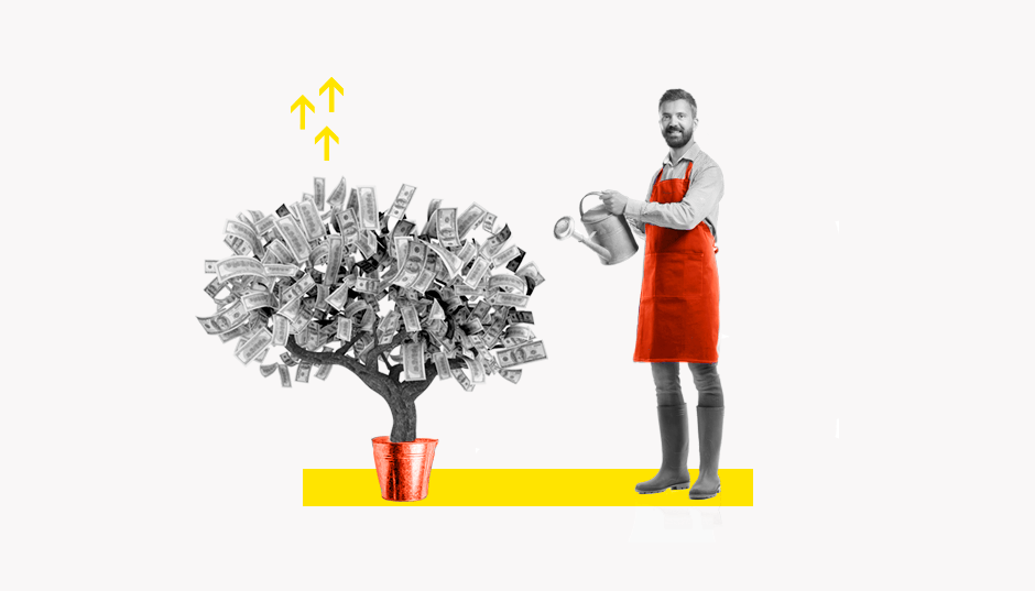 Дачный SMM: как мы охватили 8 млн пользователей и создали садовое комьюнити