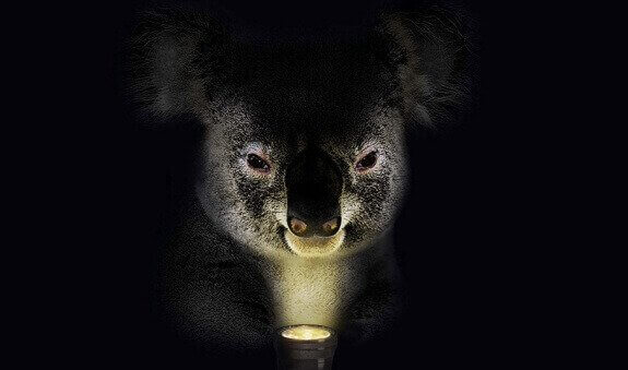 В темной-темной комнате: 5 видеоисторий брендов к Хэллоуину