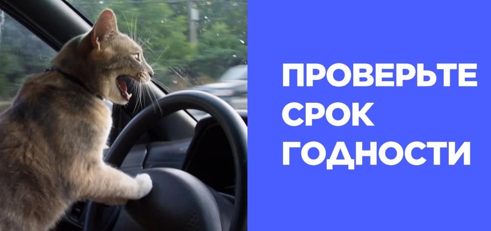 photo_2025-09-03 11.18.54.jpeg