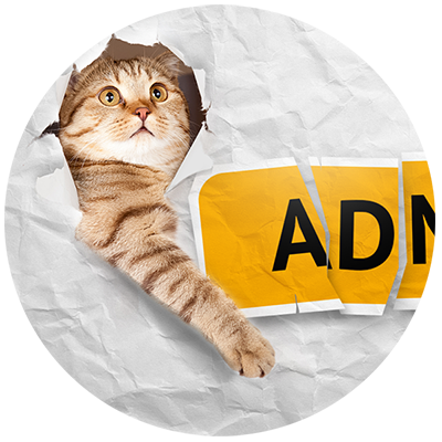 AdMe_cat.png