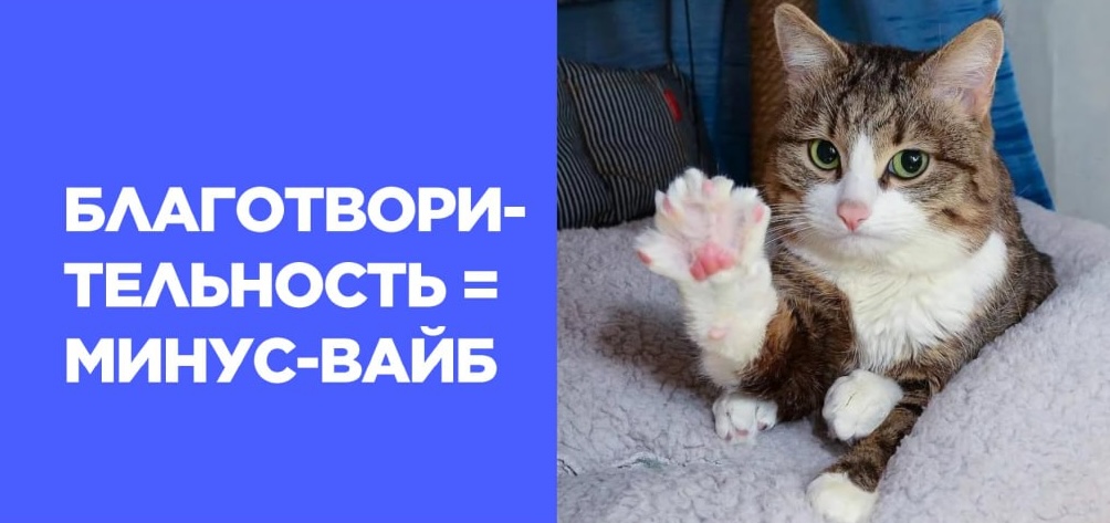 разметка реклама.jpeg