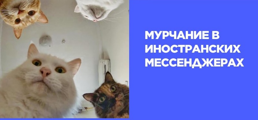 иностранные мессенджера.jpeg